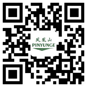 手機(jī)二維碼